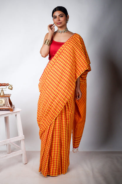 Binodini - The Rare Drape