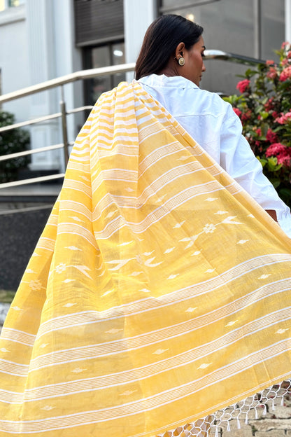 Summer Pops- Yellow and White stripes with Jamdani Woven Pallu